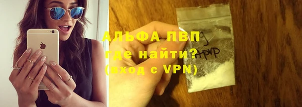 эйфоретик Богданович