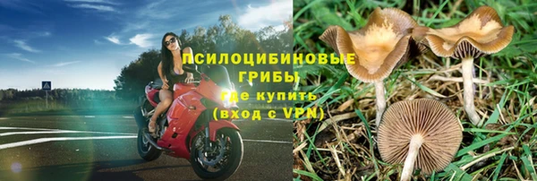 ешки Богородск