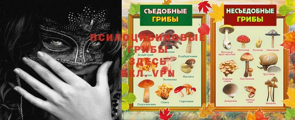 мдпв Богородицк