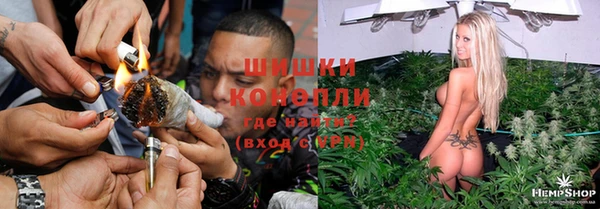 мдпв Богородицк