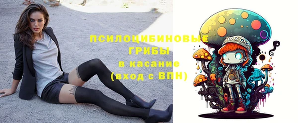 мдпв Богородицк