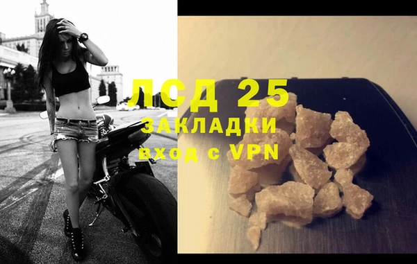 эйфоретик Богданович