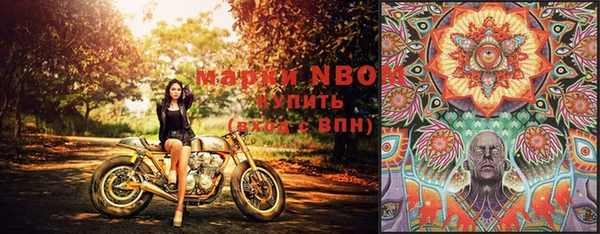 эйфоретик Богданович