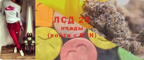 эйфоретик Богданович