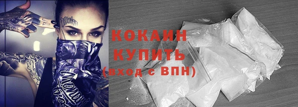 мдпв Богородицк